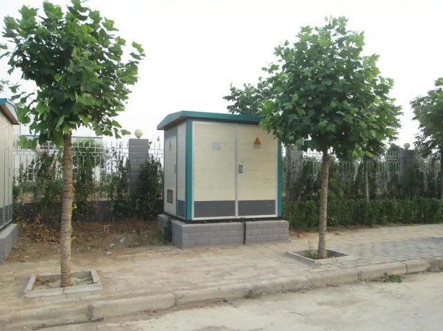 阜宁1000KVA欧式箱式变压器