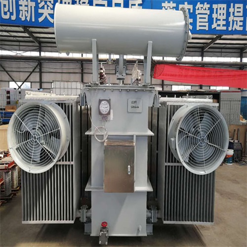 阜宁S20-8000KVA变压器